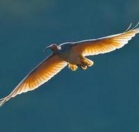 4e554a4465ee0f3ff34d0f7892869fd322ba6393