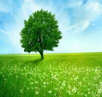 2d18bdd5e364cd32421bc630743ea442d85aa15f