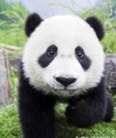 2253636c7e86eeca86cbd814e7788a4438c82418