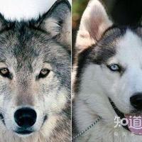 387278208bce6c795bcbb2a976762382087f70ec