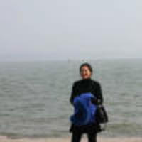 88d0787f699cbb2d8baee1cffb79d87395739791