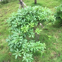 A84385d30efe0ec777b34fe539b8017c53dab552