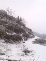 B4c314fadff31d95162820c2e5391e330e5e9ee4