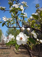 029a26714c11c472aa0b10eee6881d7f1d1401a8