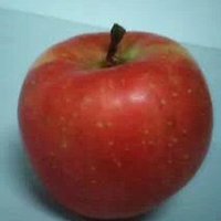 E1babd482b18c324f1ccbc541cbaee4449463b75