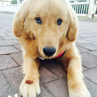 3373a679f4195e145ef41a6d86a9c18f92a64513