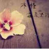 17a6663e028bd72cd33c026e90debde97dd1017d