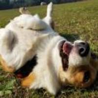 Ec8004ca9a1681f8b2471ed90b24ac86889f0234