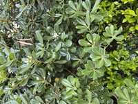 21c7d20fd9d7aab9417d9518f1dd95251143321f