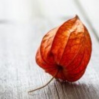 A8a01d177149c52cd02440007d0393f3928fb8c3