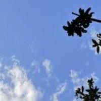 14f3b49e2056a746f1fb5f658ab7f1a6a5fa2760