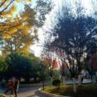 45b227bbeef164deebb4b804412376ebbebaf990