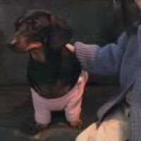 B5f4275d1f3e90abb7c3a146064ce84c079fd698