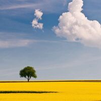 Fa50538e43a54626a10093ee4588aa35fe8d667f