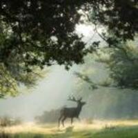 Ba7979bf77ca7e48963c24e6f56d8236b42f0b88