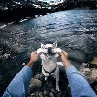 2dd9c6247902bbda8243582cb5e0fb863c206e48