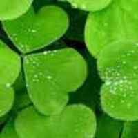 Ded7458dd1ab615d5010223a3722e9319206998a