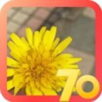 A0283ee428c0fef2cd02940c97a88d43a3963048
