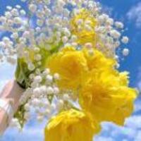 A2dcd1471d60532f07b6548ee4d0e92cadeed9ad