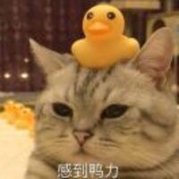 578fb8366f14927c9a5703f9d08d916ff6c6a30c