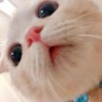 Ad6bef93ee8d77011c767808392dab6b338ff897