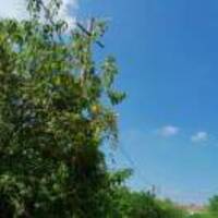 Dc26c18f438a89cb6f8578612f02ae6e440b6ad8