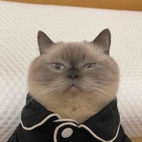 3928c4361469b18d77b36132a0b4dd2d15f5a864