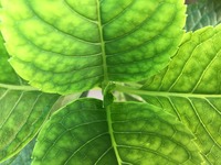 5905f1e69afc9e2595f726ce663f1ef756118744