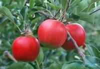 F3c375135c99fcbb21a93620f2dc8fa29a5fb688