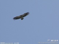 D1ae34786daecb7e3e6220a2246196d3b93141eb