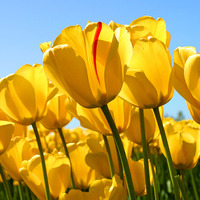 Af36f88287cc7ed427e381090edd6edde2f89993