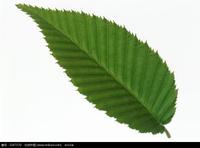 81151d2e2483f3a89d90bb63e0934ef1212050f9