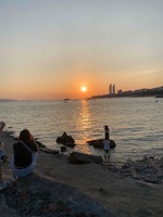 5109a23c2b5aa0e323372e0364202176fc43da09