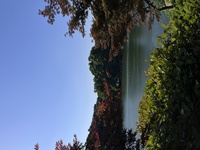 2e039b594dbdd1544c090a0fe4c4b7b879275f9a