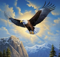 Cb6d8dc665aec933ed987d967fb973113baece8e