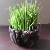 07ec7251aaef4cf69d49c75a43abc6f75b245dc4