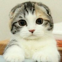 5920aa7e74782d9ba1c9beb8bd91877636cb6d8f