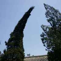 1ac9d4e931c71664e42d926532ceaee3a9167d37