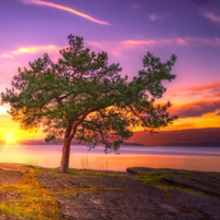 530b2439954e728526b1bb6befd6d8b6f2236c80