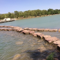 810b267d63c44f163a53cd7b4c78f6ad537e3f8a