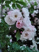 B134e6ed38ad1b4b83f17a70b2eec14810908e82