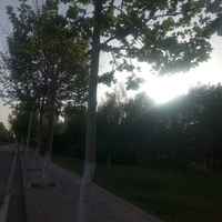 B95fe3045def8d569d8ef682afaee0cf2ae586bc