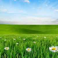 F01f3dd10f2e1067d799fcda45e48dd8ddc2e224