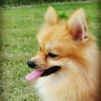 38f1e3a3ed93bb5dd0a2032bb3a681f4335162e7