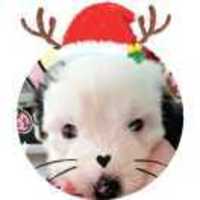 75f28e4bd25117d3458049ca0a48898889648be5