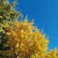 B2fa1befe9cefbe9fc8946cdbf539086f3d77bb1