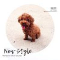 15766c1637a1238f5c1997860965640e00825d27