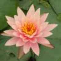 6f7ce43ab3a612ce2928a56ad10b353ea26bf360