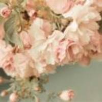 A76a2963173e5afeb038fd4f86d36f1c29e83bba